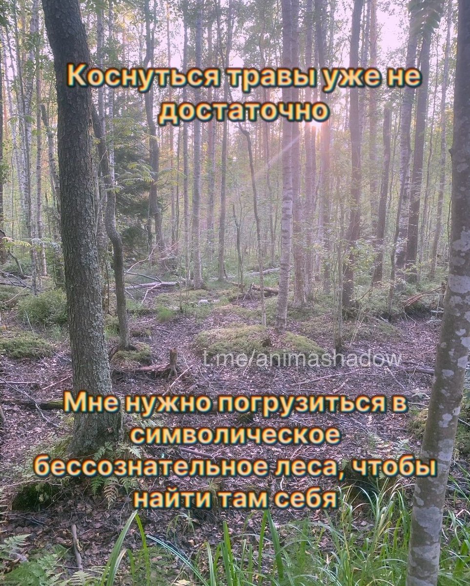 Hton_lesnaya's tweet photo. Расскажите о себе, используя 4 мема из сохраненок
💠
Только я со скорой уволилас��, а терапевтом так и не буду работать, если повезëт https://t.co/LAJBrtap3L