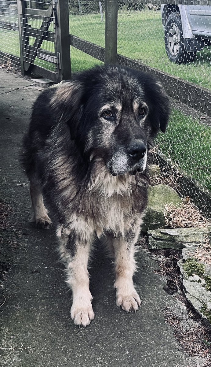 Adrian Tilsed tweet media