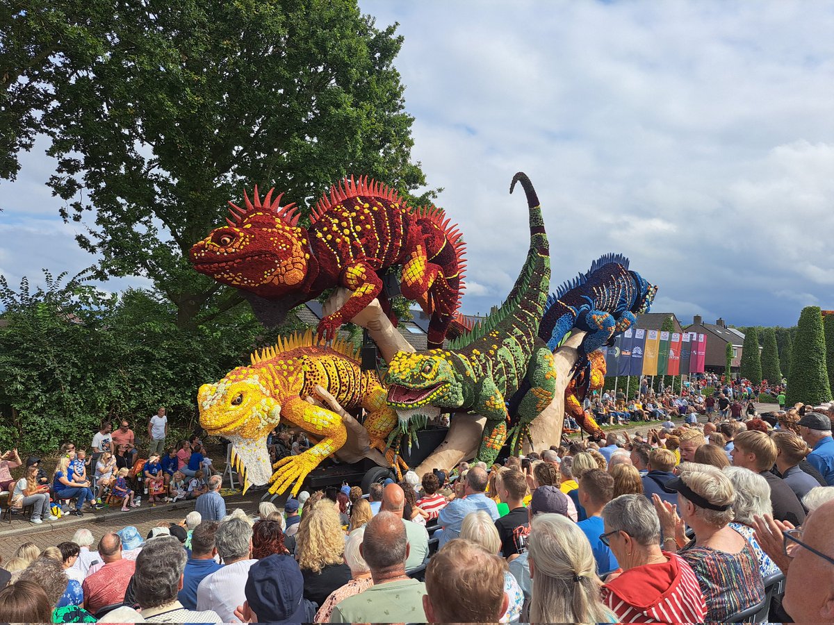 Stijn Hesselink tweet media