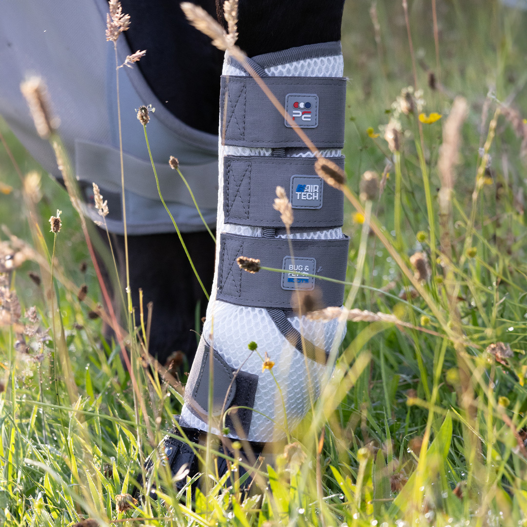 premierequine1's tweet photo. Achieve full Fly Protection to keep those flies away!!!
Pro Tech Bug & Fly Bootsโ๏ธ
#PremierEquine #Equine #FlyProtection #SummerDays https://t.co/REEImUEeVx