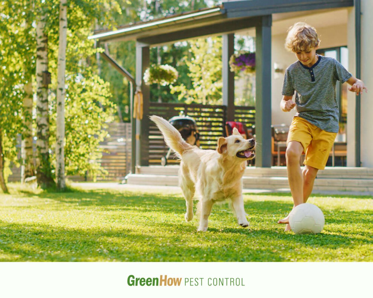 greenhow's tweet photo. Defend your yard from mosquitos and ticks with our ongoing preventative solutions. 

Learn more at the link below: 

https://t.co/9vNUamsjiG

#pestcontrol #pestcontrolservices #pestcontroltips #pestcontrolsolutions https://t.co/Zg5zrs7XoI