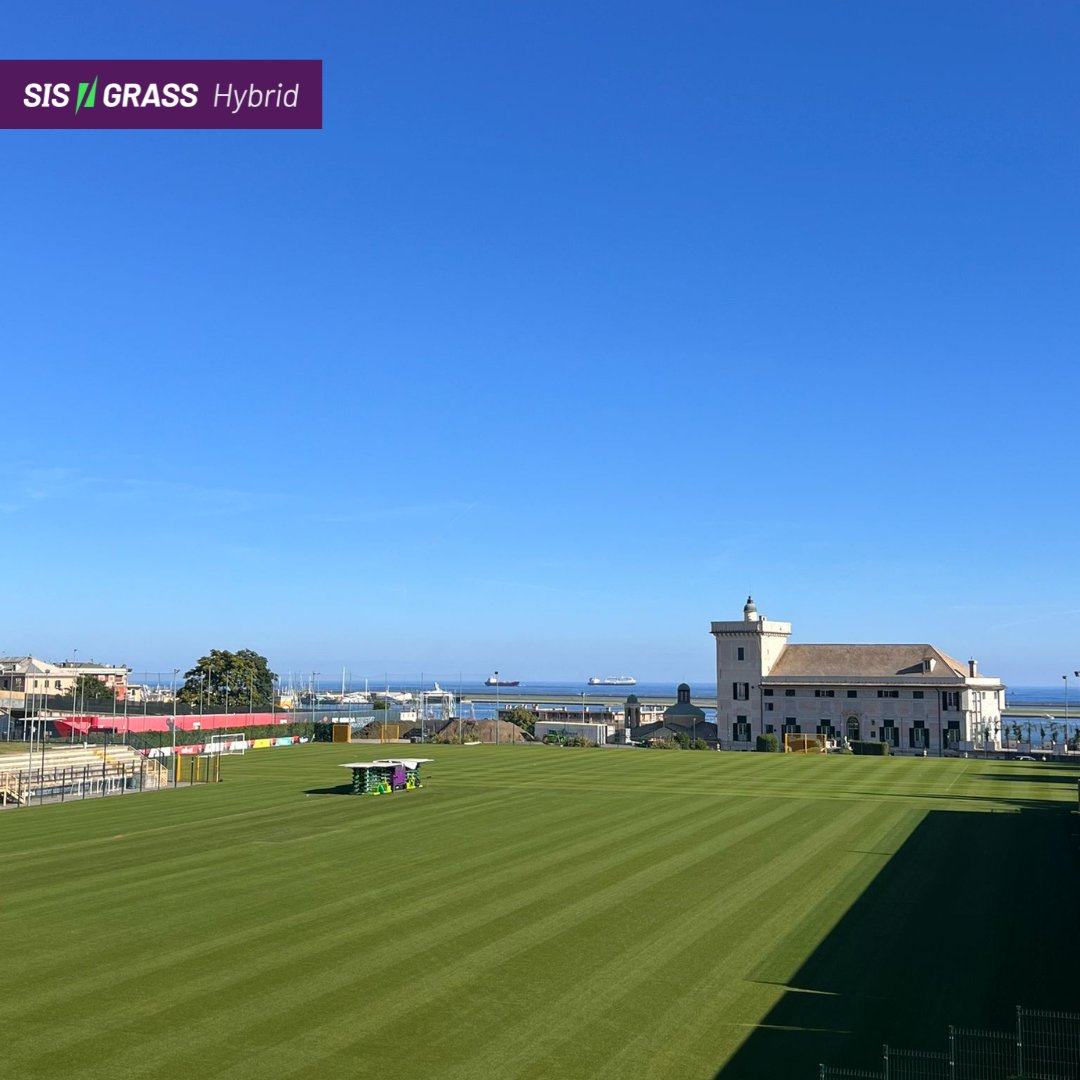 As European domestic football resumes this weekend, we want to extend our best wishes to all our clients!
 
Here's a quick look back at some of our most recent SIS Grass Hybrid installations.