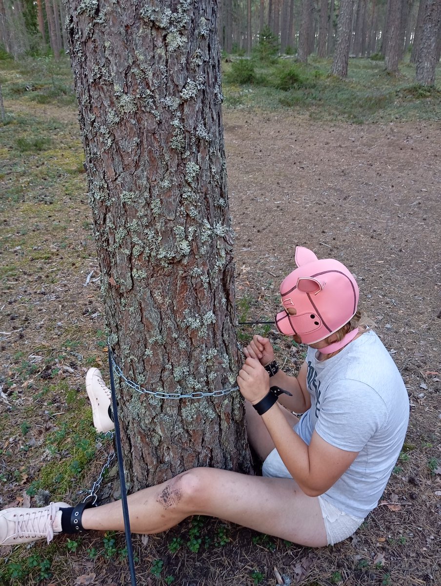 MQueenkarm9872's tweet image. Band fast min slav i skogen 😂😂😂🖕🏾 Spottade och förnedra han ordentligt lilla grisen . #Humilitated #PIGGIE #pigg #moneypig #slave #blackmailed #nöffnöff #retweet #sweden #sverige #Gris