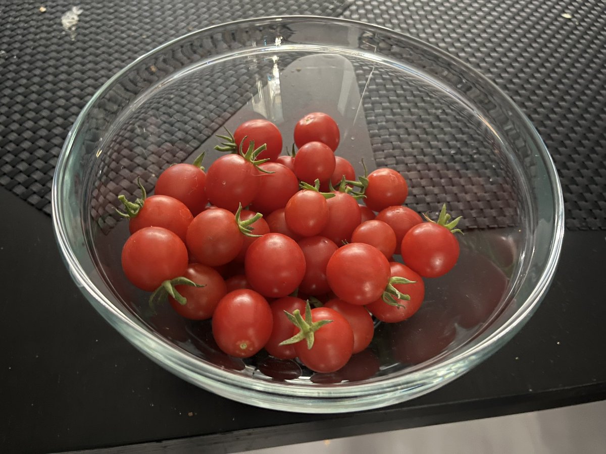 EustaceEusts's tweet image. #moestuin #homegrown #homegrownfood #homegrowntomatoes🍅 #tomatoes #pomodoro🍅 #rajčica #paradajz #парадајз🍅🍅🍅 #trátaí #პომოდორო🍅