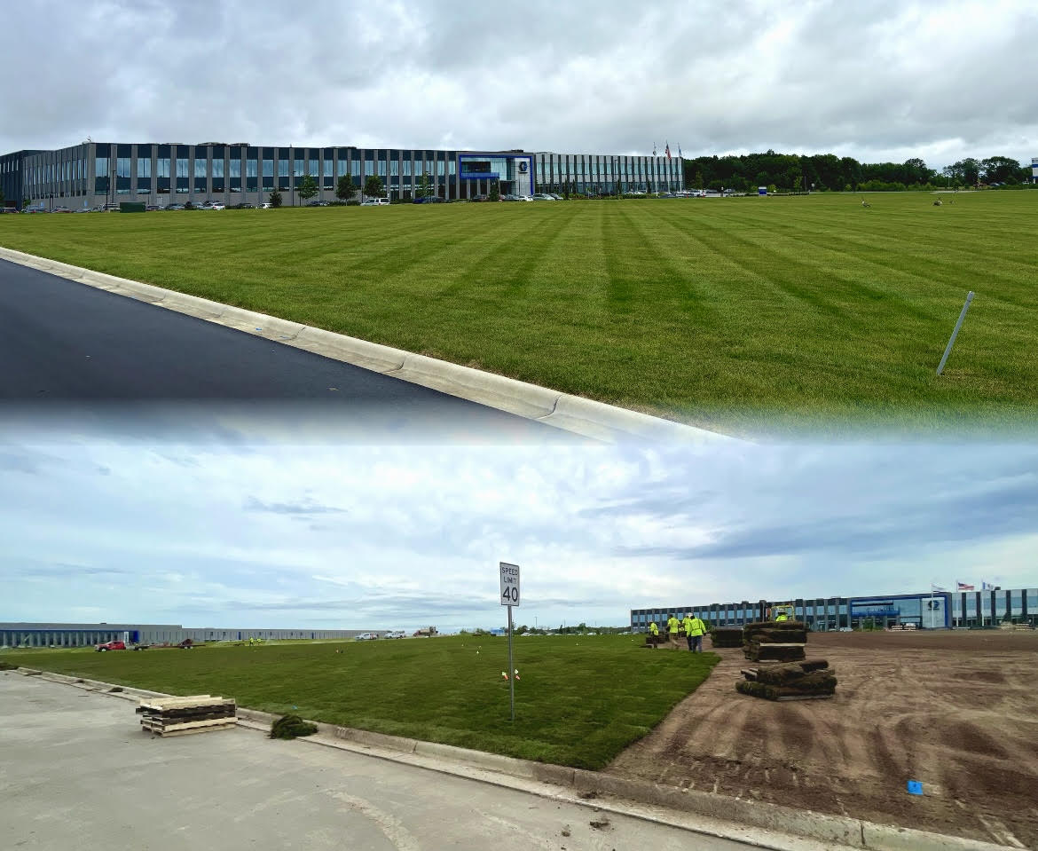 MNSodCo's tweet image. The day-use area of the park is looking great six weeks after the completion of MSC's record-breaking hand-rolled sod project!  ...remember in July when our crew of 10 tackled nine semi loads [12,000 sy] of sod in one day?  #progress #notafraidofhardwork #lookinggood