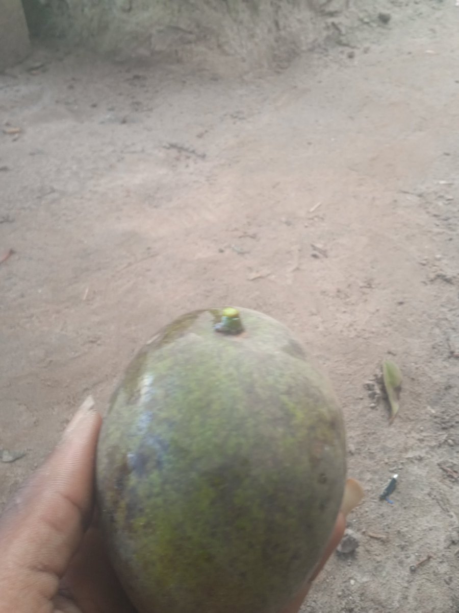 Algazim Bah (@algazimb13284) on Twitter photo 