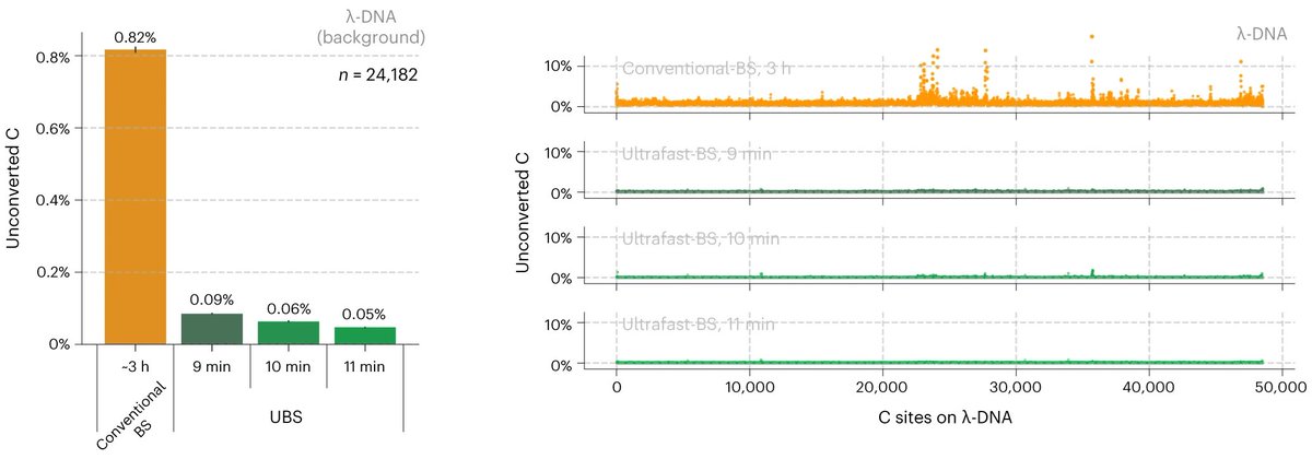 Ellis_Bio's tweet photo. 🔬 Experience Lower Unconverted Ratios with Ellis Bio’s UBS Kit! 🧬

Say goodbye to insufficient conversion at specific cytosines in your experiments. Our Ultra-fast Bisulfite Sequencing (UBS) kit excels where others fall short:

📉 Lower Unconverted Ratios = Low False Positives:

Ellis Bio: Low false positives, precise results.
Conventional Kits: Insufficient conversion at specific cytosines.

💡 Benefits:

Enhanced data reliability.
Perfect for accurate methylation analysis.

Choose Ellis Bio’s UBS kit for unmatched performance in your research! 🌟

#EllisBio #Genomics #DNA #Research #Biotech #BisulfiteConversion