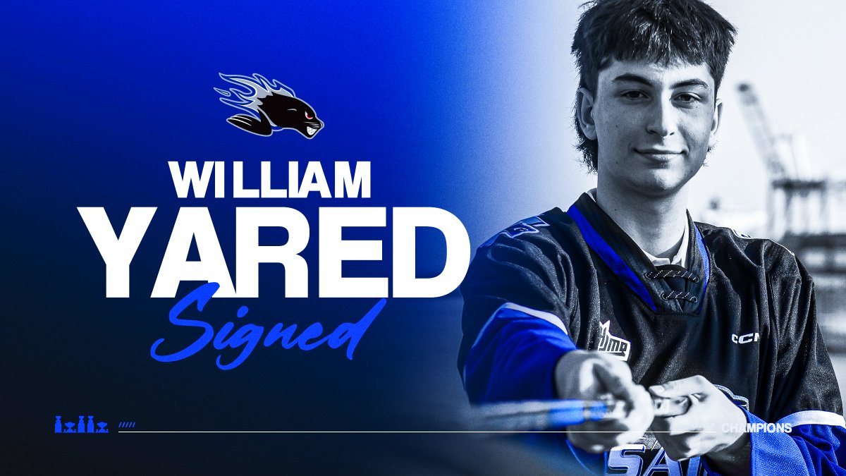 SJSeaDogs tweet picture
