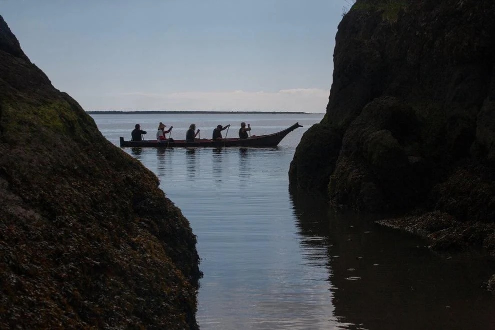 Chinook Observer tweet media