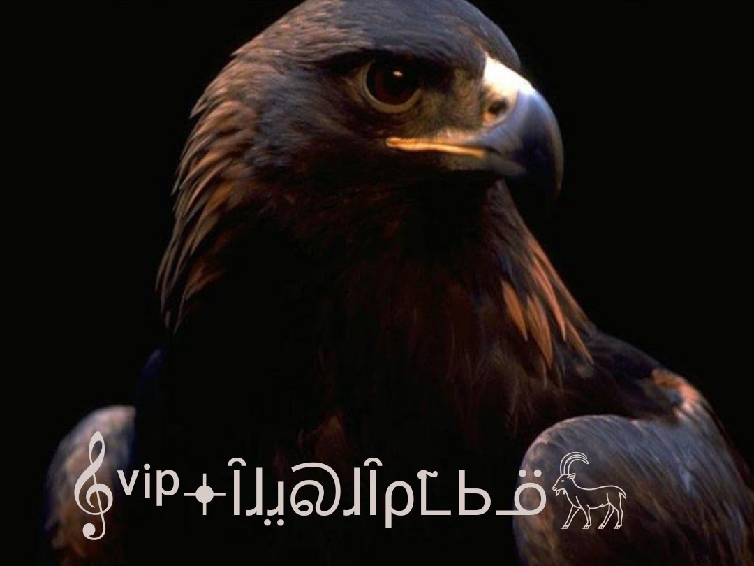 AQOC_'s tweet photo. ✿⇣ #فرز_مسائي🔥⇣✿
#ꪑོɔɹ̇ɹɹɹ𓅓
❀.. ɕlᴝᢩබl..❀
♔ᓚɹ̈IᓅIᘙ̇Iɺɺ lɺɹ̤බɺI ᓄᒪϦᓆ♔  
-#ꪑོↄⳋ𓅓
-
-

 *ᵛⁱᵖ jjjȷᓅ  ❀.. #لعيونككم❤️ ..❀
🦌@sho__456 🌼 للأميرة الشوق
-
-
  🐣 @grettawintijet 🐣
🐣 @grettawintijet  🐣

#برعاية

🫧@hkar48
🫧@8V88 
🦌@mz1417z
🦌@Oti__29 https://t.co/tzU5fgzQD3