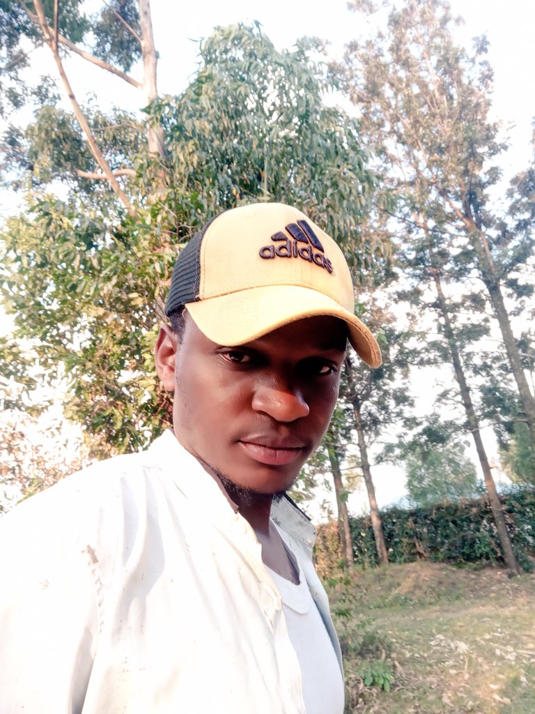 AntonyOnuko's tweet photo. Good evening my guys 🌌 https://t.co/VZsxylCHoL