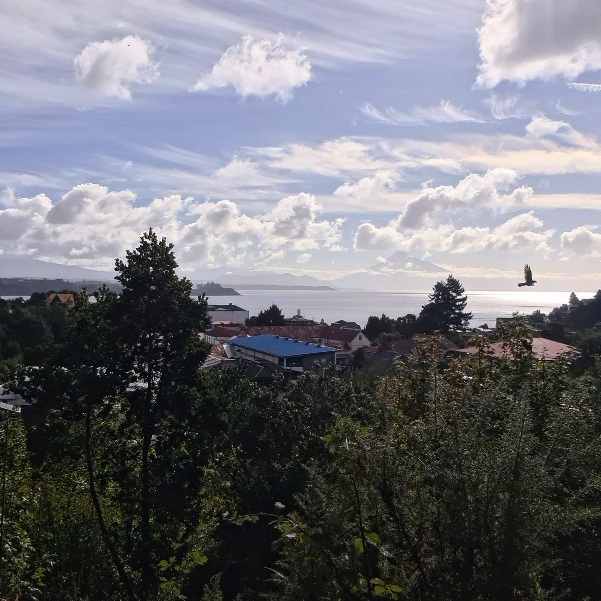 «Todos nosotros, entre las ruinas, preparamos un renacer. Pero pocos lo saben». Albert Camus