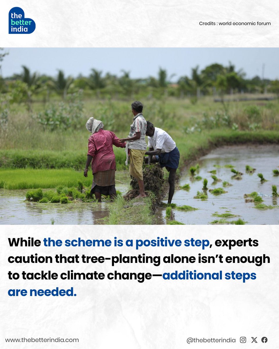 thebetterindia's tweet photo. Would you want to see it replicated across India? Tell us in the comments.
#Wayanad #Kerala #Sustainability #Meenangadi #TreeBanking #CarbonNeutral #ClimateResilience https://t.co/w1tJq317ZN