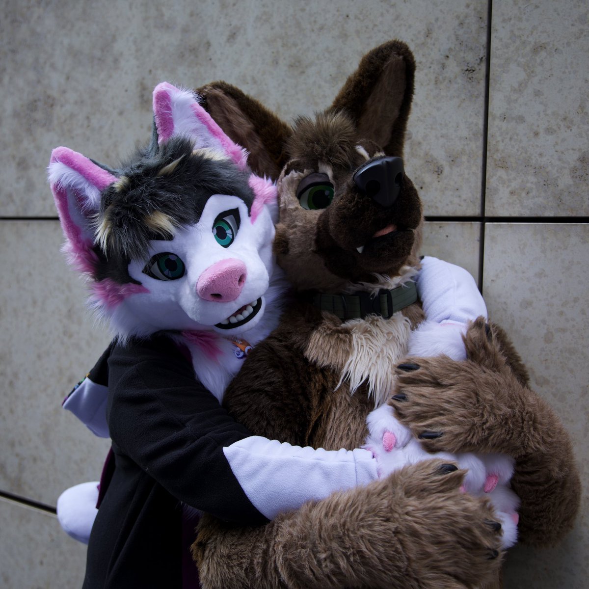 Awowowowowow. #FursuitFriday with <a href="/MadAxelShep/">Axel</a> ❤️
