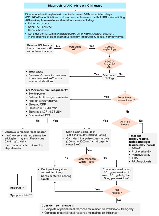 Now online at <a href="/NDTsocial/">NDT</a> <a href="/HerrmannMd/">Sandra Herrmann MD, FASN</a> 

Immune checkpoint inhibitor-associated nephritis - treatment standard 

🧐A subset of patients will require additional steroid-sparing therapies for corticosteroid-dependent or refractory ICI-AKI.

▶️academic.oup.com/ndt/article-ab…