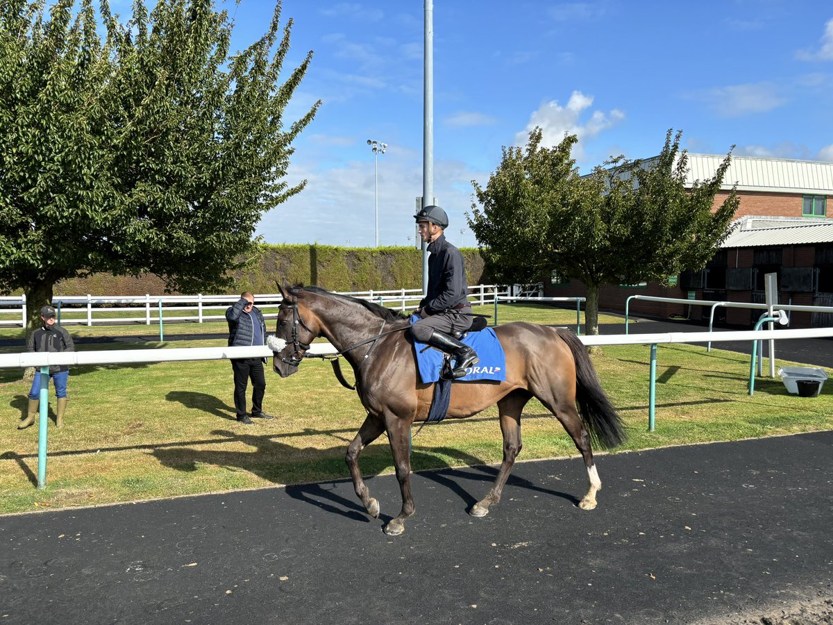 Manor House Stables (@mhs_horseracing) on Twitter photo 📸 Earlier today we took eight horses to <a href="/WolvesRaces/">Wolverhampton Races</a> for a racecourse gallop, with the likes of <a href="/oismurphy/">Oisín Murphy</a>, <a href="/daviesharry_/">Harry Joe Davies</a>, <a href="/Aidankeeley25/">Aidan Keeley</a> & <a href="/jonnypeate2/">jonny peate</a> all riding out.
<a href="/Coral/">Coral</a> <a href="/HM3Legal/">@HM3Legal⭐️B Corp™ Changing Lives</a> <a href="/nafuk/">@nafuk</a> #TeamMHS 📸 Earlier today we took eight horses to <a href="/WolvesRaces/">Wolverhampton Races</a> for a racecourse gallop, with the likes of <a href="/oismurphy/">Oisín Murphy</a>, <a href="/daviesharry_/">Harry Joe Davies</a>, <a href="/Aidankeeley25/">Aidan Keeley</a> & <a href="/jonnypeate2/">jonny peate</a> all riding out.
<a href="/Coral/">Coral</a> <a href="/HM3Legal/">@HM3Legal⭐️B Corp™ Changing Lives</a> <a href="/nafuk/">@nafuk</a> #TeamMHS