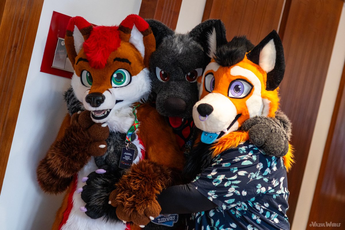 Happy #FursuitFriday 

📷: <a href="/VazulWolf/">Vazul 🔜 Awoostria</a> 
🖼️: <a href="/ThalorinFox/">Thalorin</a> <a href="/ZleekWolf/">ZleekWolf</a> <a href="/CanysWaltz/">Canys</a>