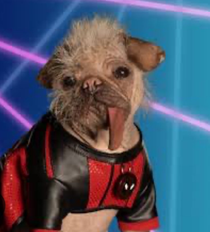 Timothy Ellender, MD, FCCM tweet media