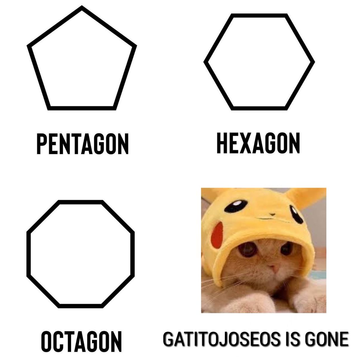 GatitoJoseos's tweet image. 