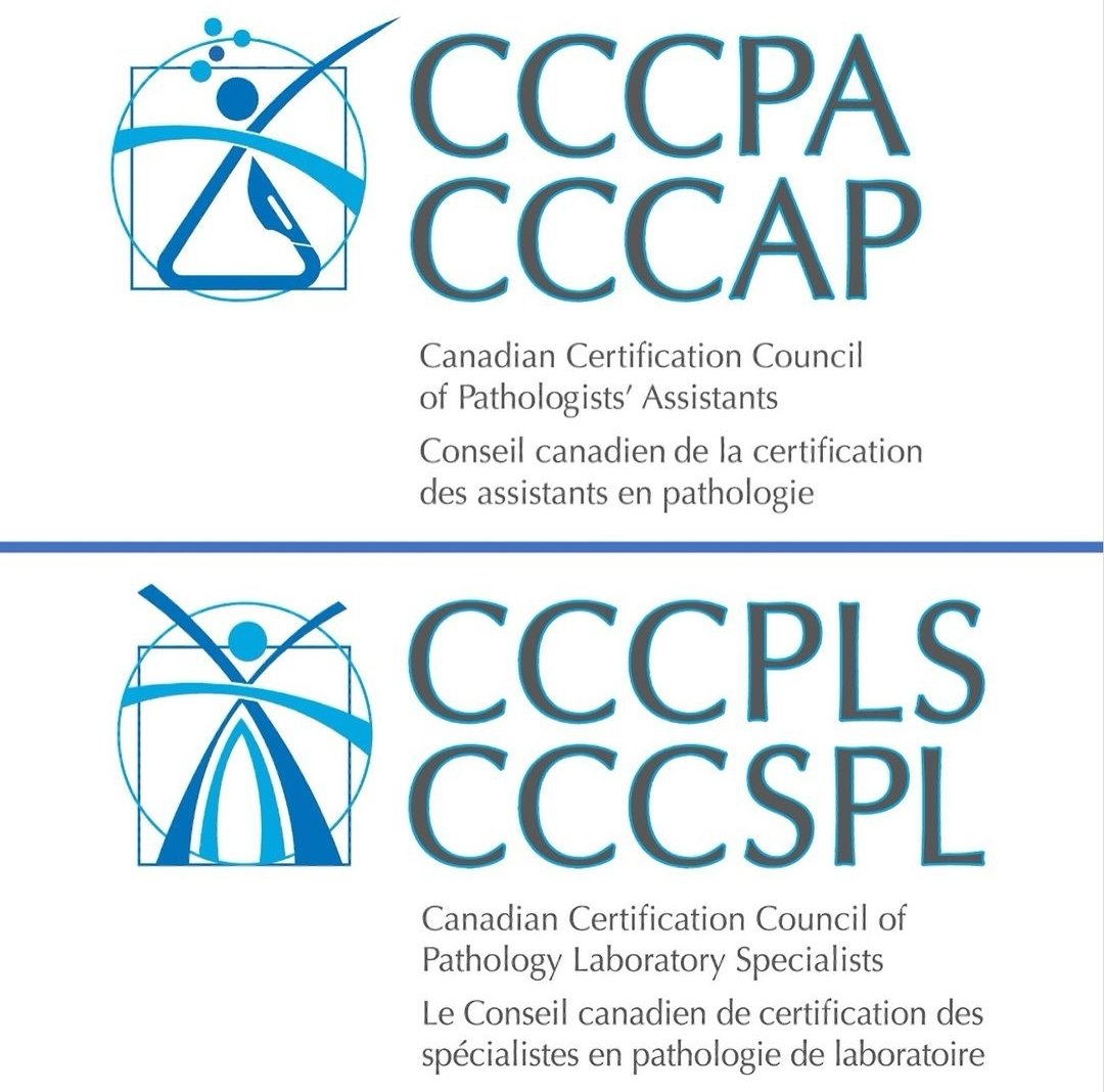 Canadianpatha tweet media