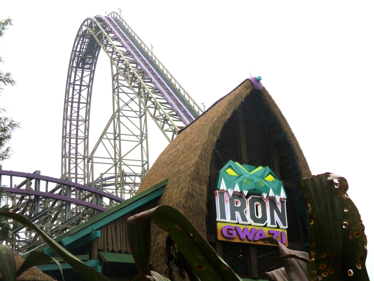 faeriemachine's tweet image. Happy National Roller Coaster day, featuring one of the coasters that means the world to me.
#RollerCoaster #RollerCoasters #NationalRollerCoasterDay #BuschGardensTampa