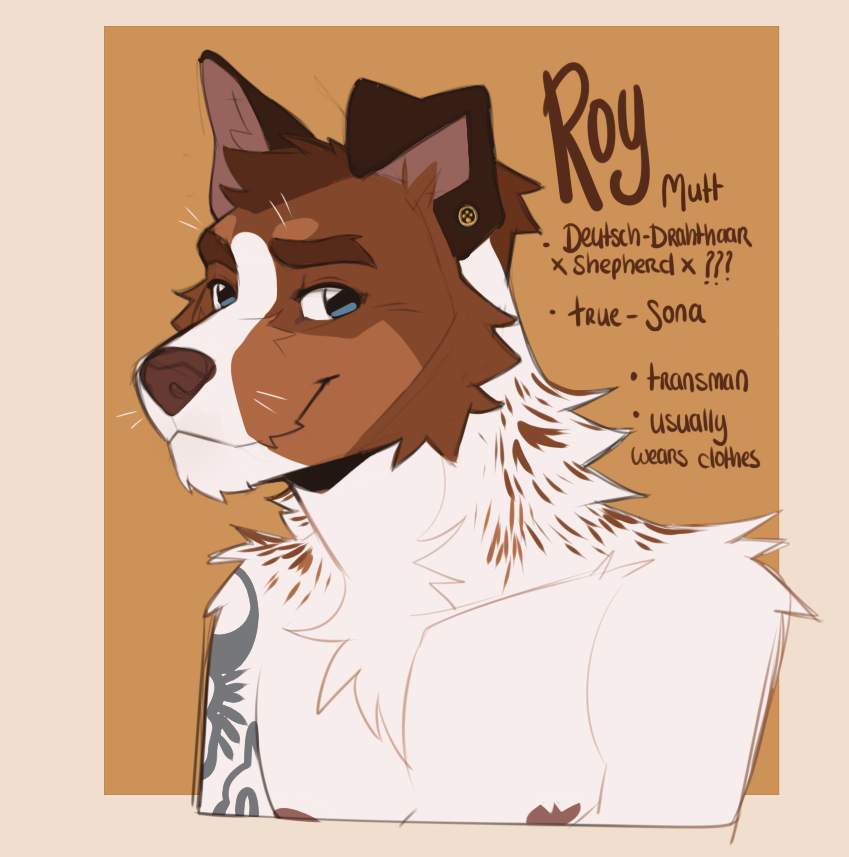RoyvdHel tweet picture
