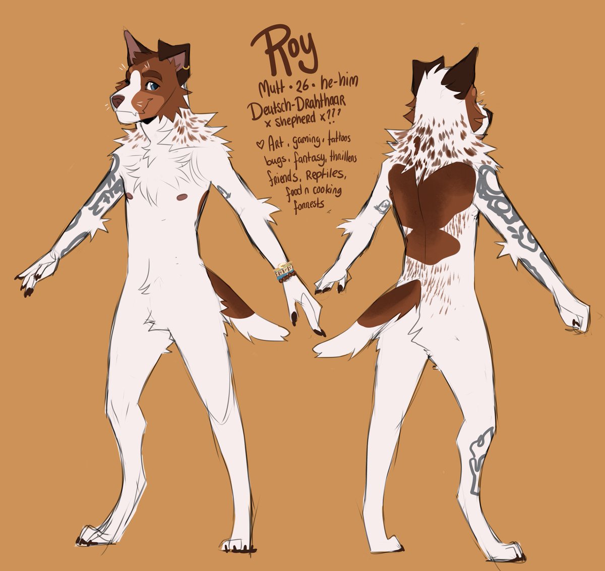 RoyvdHel tweet picture