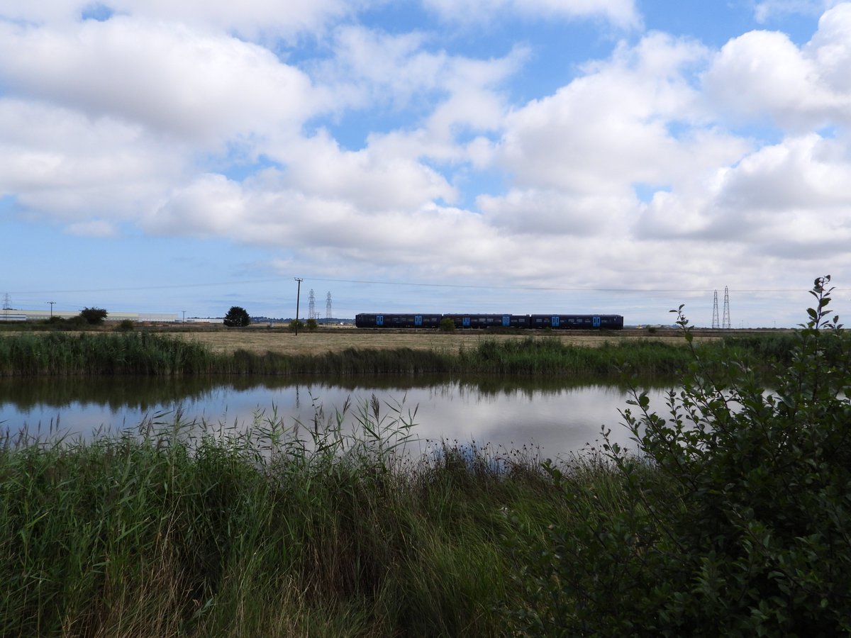 Street cred gone- lightweight knock-off crocs.

When walking marshy paths from Swale Halt I'm always in wellies. But crocs to/from station. Simply go in the rucksack.

(Surplus store Norwegian army socks btw: so comfy all yr round)

I'm an influencer. It's what I do now😇
