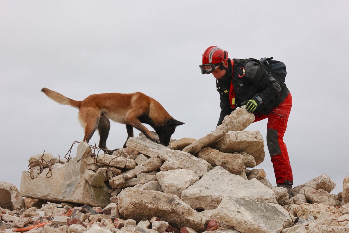 SDIS51's tweet image. 🐕 #SaintRoch est considéré comme le Saint patron des chiens et donc des unités cynophiles. 

L’équipe spécialisée du #SDIS51 est constituée de 6 sapeurs-pompiers professionnels et leurs 9 chiens. 

Bonne fête à notre équipe spécialisée !