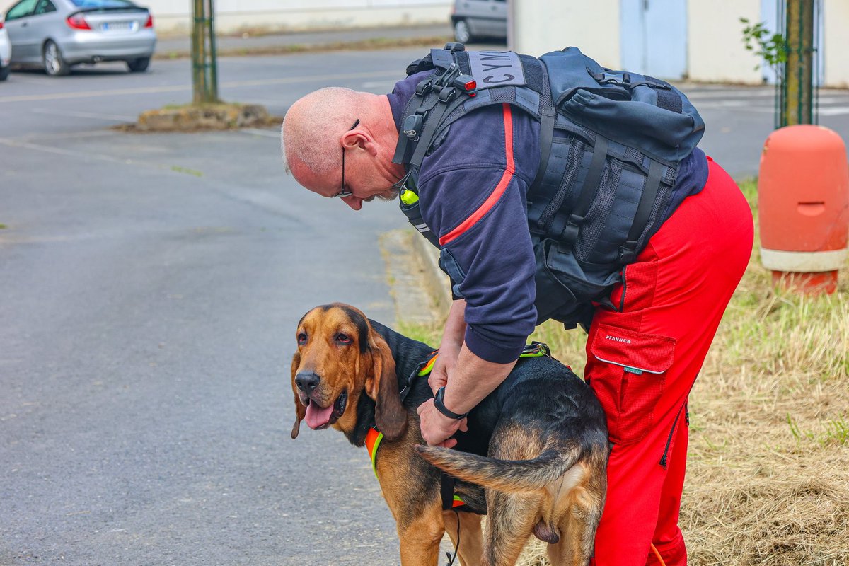 SDIS51's tweet image. 🐕 #SaintRoch est considéré comme le Saint patron des chiens et donc des unités cynophiles. 

L’équipe spécialisée du #SDIS51 est constituée de 6 sapeurs-pompiers professionnels et leurs 9 chiens. 

Bonne fête à notre équipe spécialisée !
