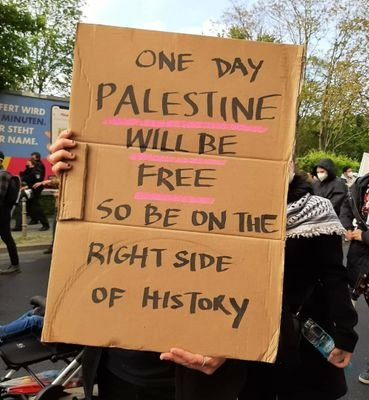 Dr. LilyFayed🇵🇸 tweet media