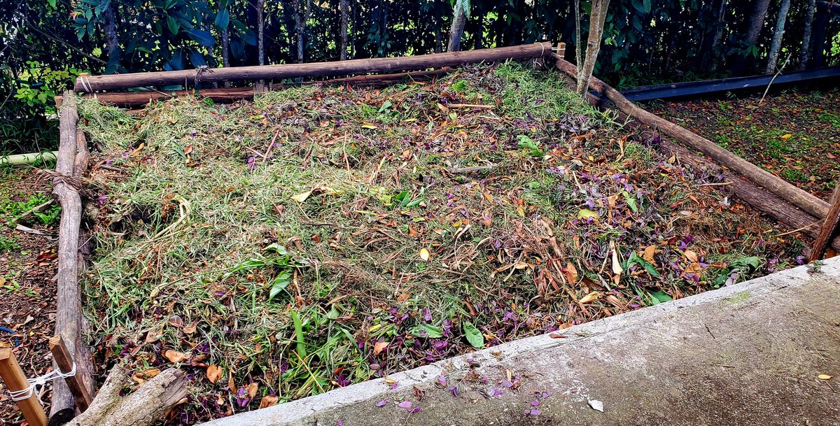 elfatbucaro's tweet image. #compostera #klm0 #huella0 #huerta #sustentabilidad #sostenibilidad