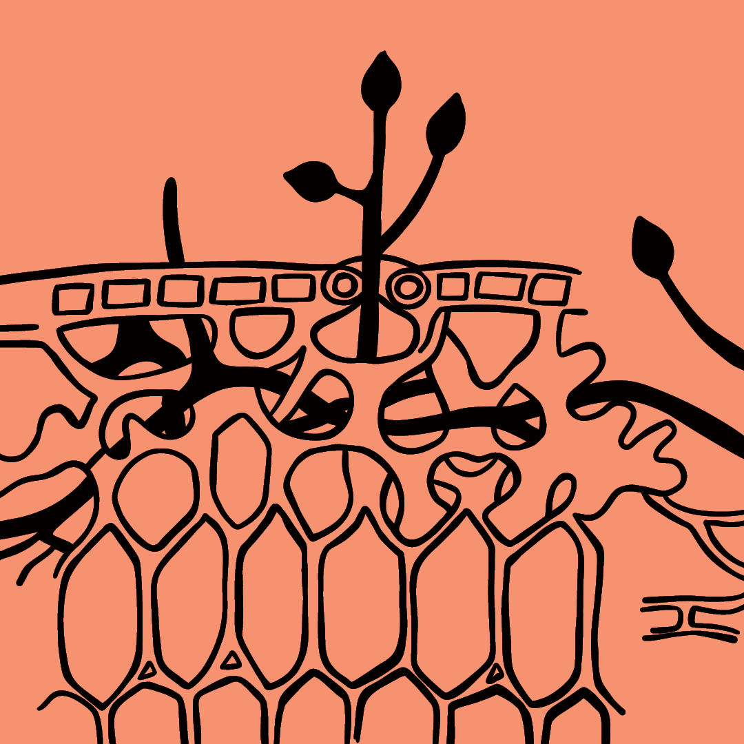 There are limited tickets left for the public lecture: 'Tracking a Plant Killer: Historical and Scientific Reflections on the Irish Famine Pathogen' on 20 August at 6:30pm, from Fulbright Scholar, Prof Jean Ristaino.

Book a free ticket:bit.ly/3WMI1zG

<a href="/agriculture_ie/">Dept of Agriculture, Food and the Marine</a>