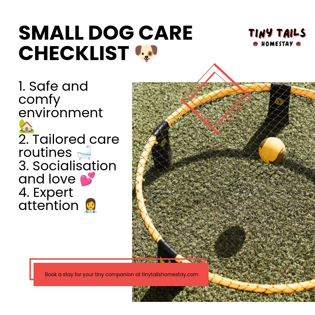 Tiny Tails (@TinyTailsIOM) / Posts / X