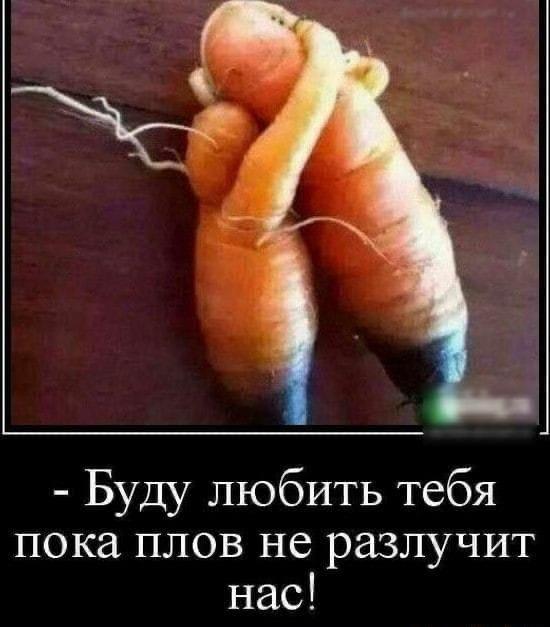 Урожайные мотивы.