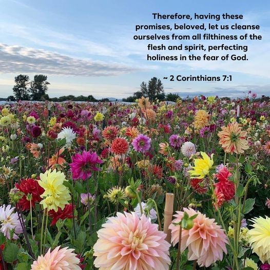 FaithBranded's tweet photo. Therefore, having these promises, beloved, let us cleanse ourselves from all filthiness of the flesh and spirit, perfecting holiness in the fear of God.

~ 2 Corinthians 7:1 https://t.co/e7PVvzoQMi