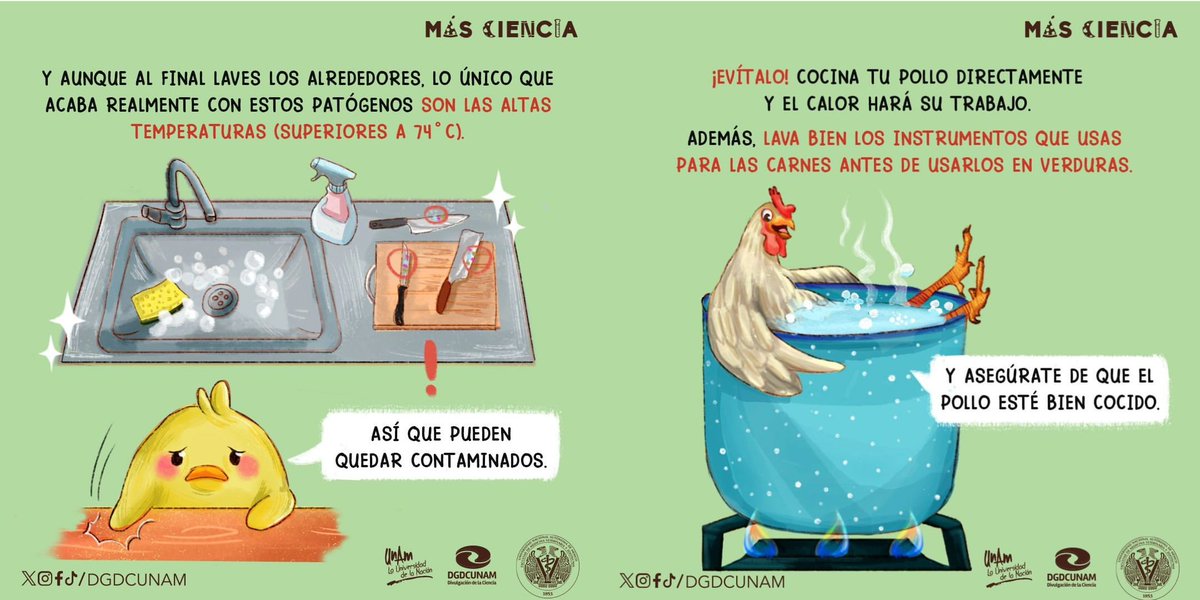 UNAM_FCPyS's tweet photo. 🐤🐥 ¡Acabemos con este debate de una vez! 🐤🐥

El pollo no se lava, y hoy te decimos porqué.
Esta es una colaboración con @FMVZUNAM
@DGDCUNAM

|| #masciencia #DGDCUNAM #UNAM https://t.co/45eXLX7pnH