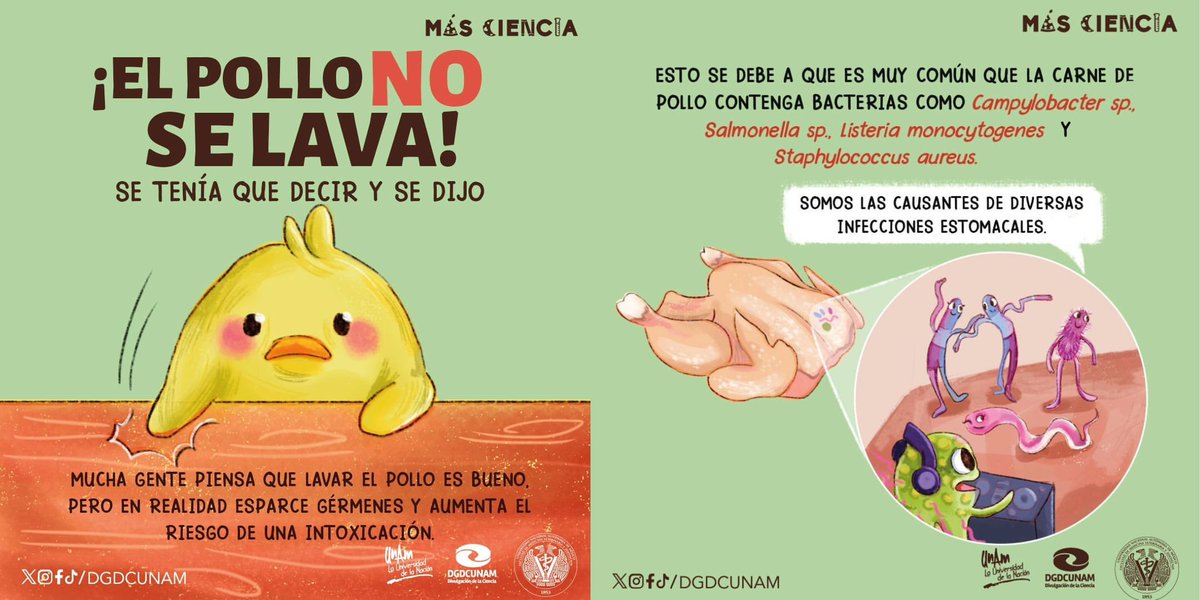UNAM_FCPyS's tweet photo. 🐤🐥 ¡Acabemos con este debate de una vez! 🐤🐥

El pollo no se lava, y hoy te decimos porqué.
Esta es una colaboración con @FMVZUNAM
@DGDCUNAM

|| #masciencia #DGDCUNAM #UNAM https://t.co/45eXLX7pnH