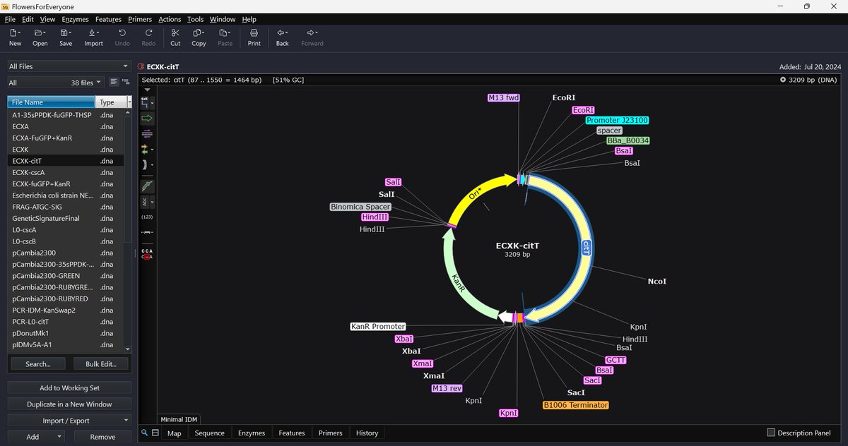Taking a moment to clone the citrate/succinate antiporter into my protein expression vector so we can test if we can select E. coli using citrate in aerobic contions. The lemon in my lemonade cloning. Come clone with me! Thread 1/n

#FlowersForEveryone