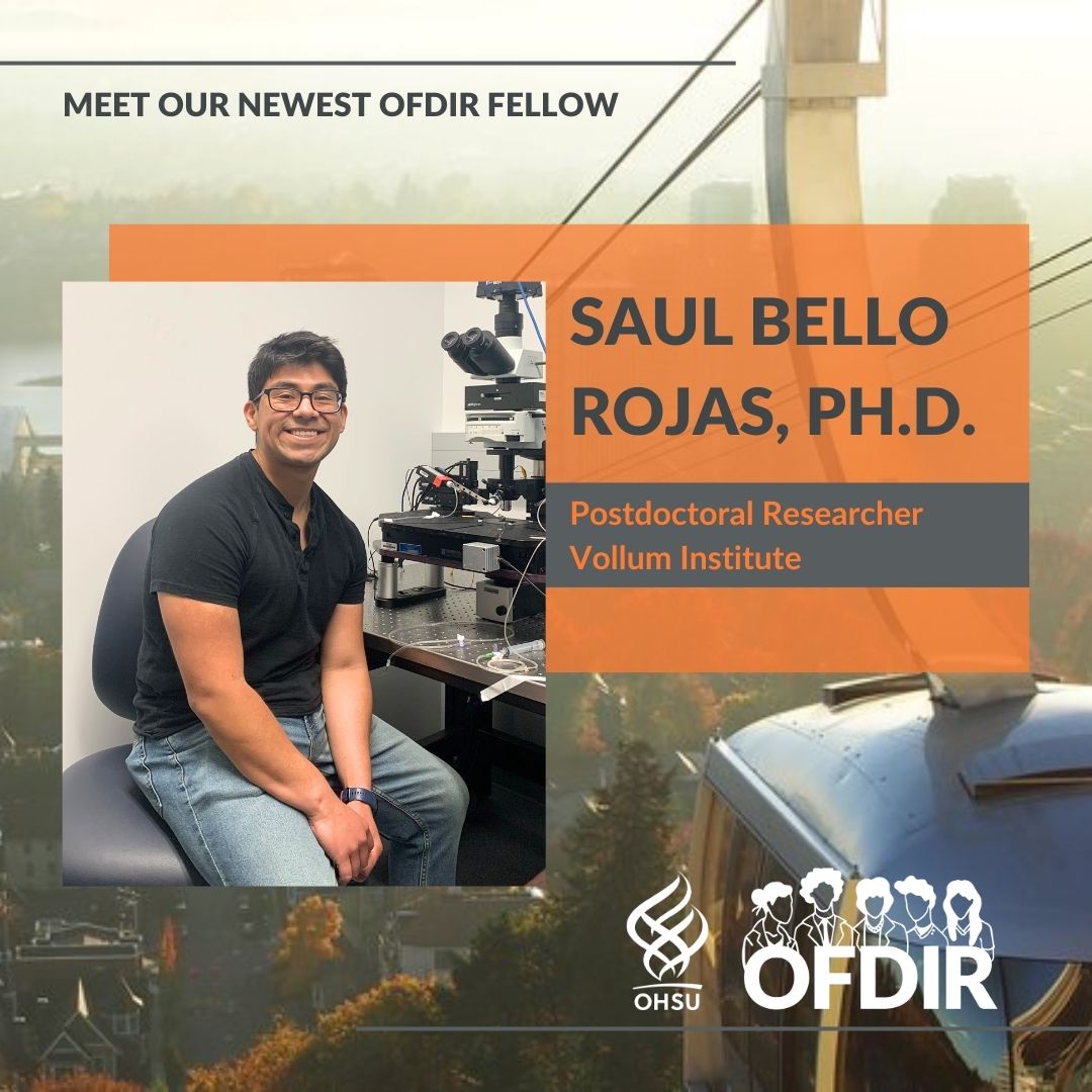 Welcome to our newest OFDIR Fellow, Saul Bello Rojas, Ph.D. who joined the program in July! Dr. Rojas is working in Kelly Monk, Ph.D.'s lab in the Vollum Institute. Please join us in extending Dr. Rojas a warm welcome to the OFDIR Community! ohsu.edu/ohsu-fellowshi…