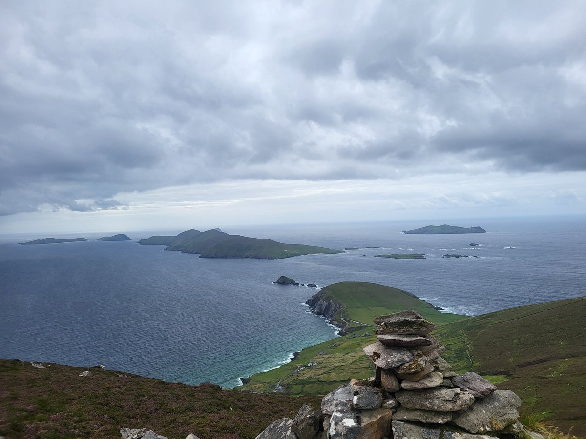 omorainbrian's tweet photo. Spaisteoireacht an lae inniu. 🥵 https://t.co/ckXxlqohyG