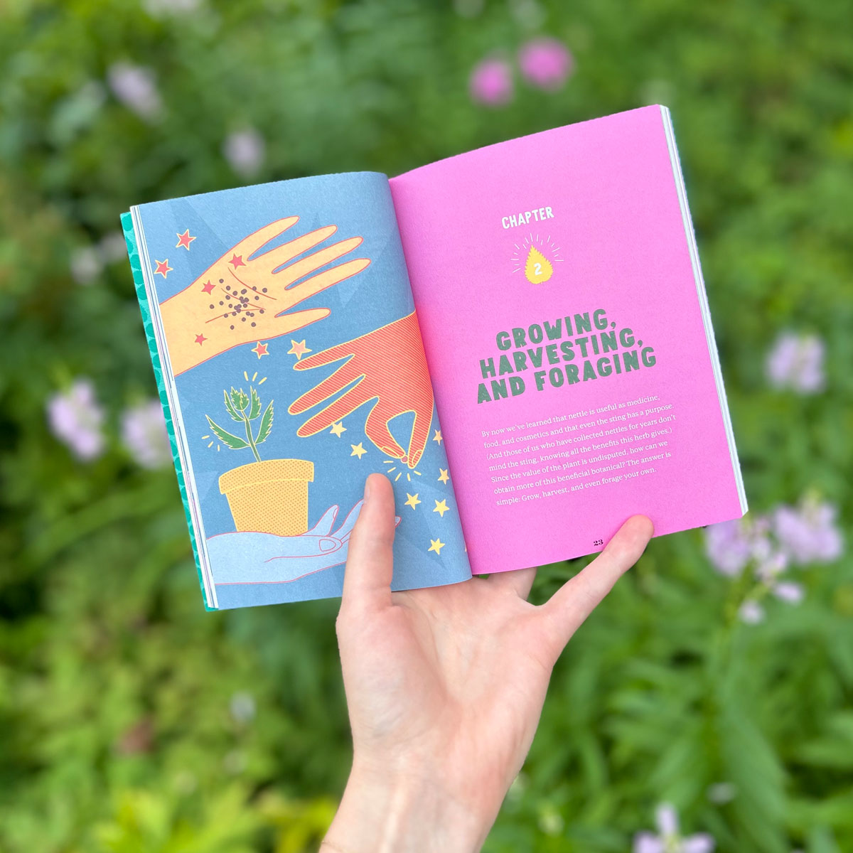 Storey Publishing tweet media