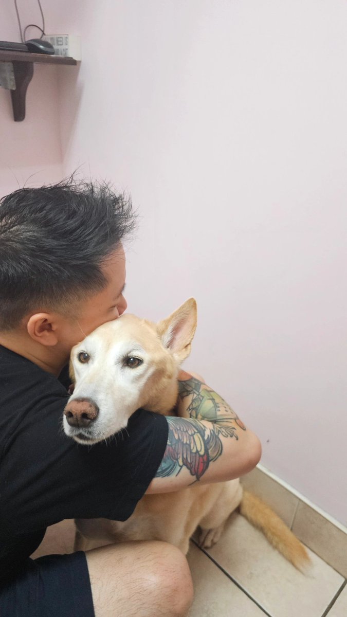 KarQ 家 橋 tweet media