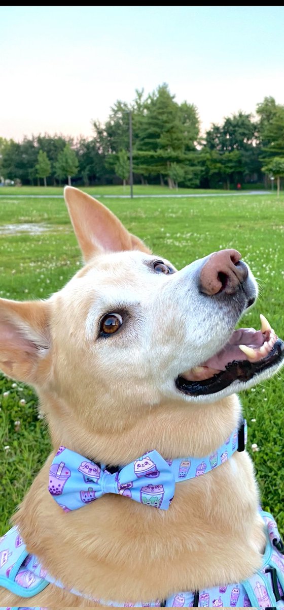 KarQ 家 橋 tweet media