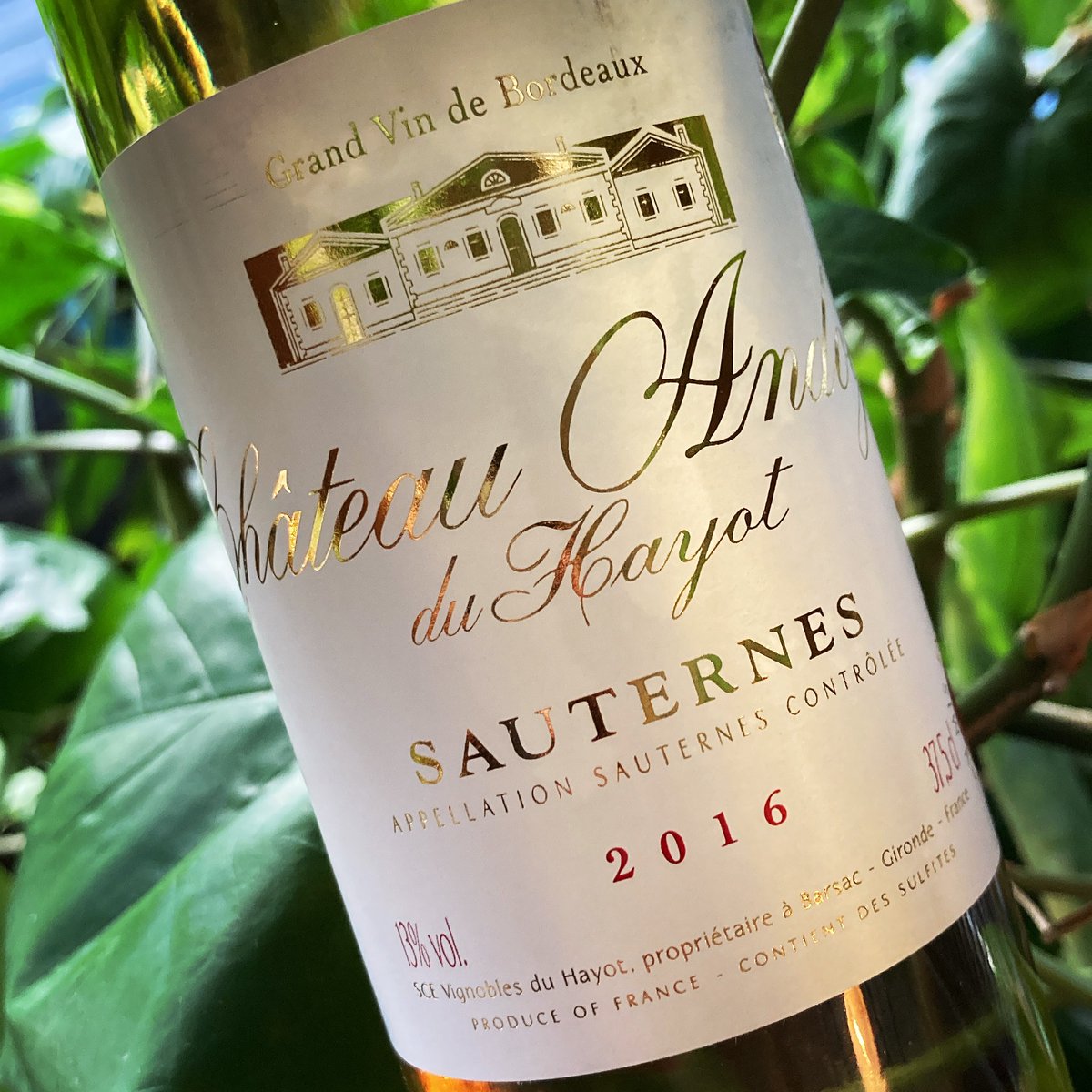 Tasting to day will pit Bordeaux against Burgundy 5-7pm. Have a beautiful day!!!!