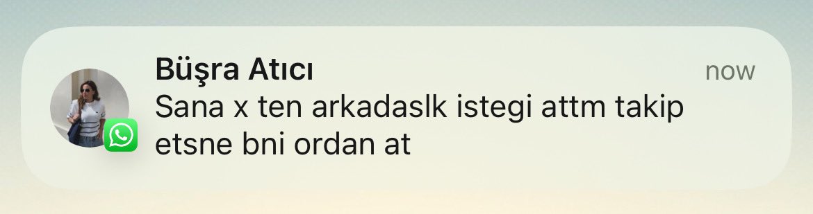 x diyecek kadar trende hakim
arkadaşlık isteği atacak kadar da instagirl

o geldi.. artık kimseye rahat yok