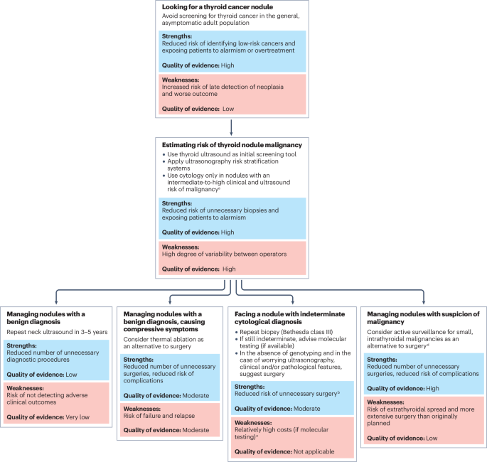 NatureRevEndo's tweet photo. New content online: Thyroid nodules: diagnosis and management https://t.co/ZatLX9knaN https://t.co/R4dpygpF34