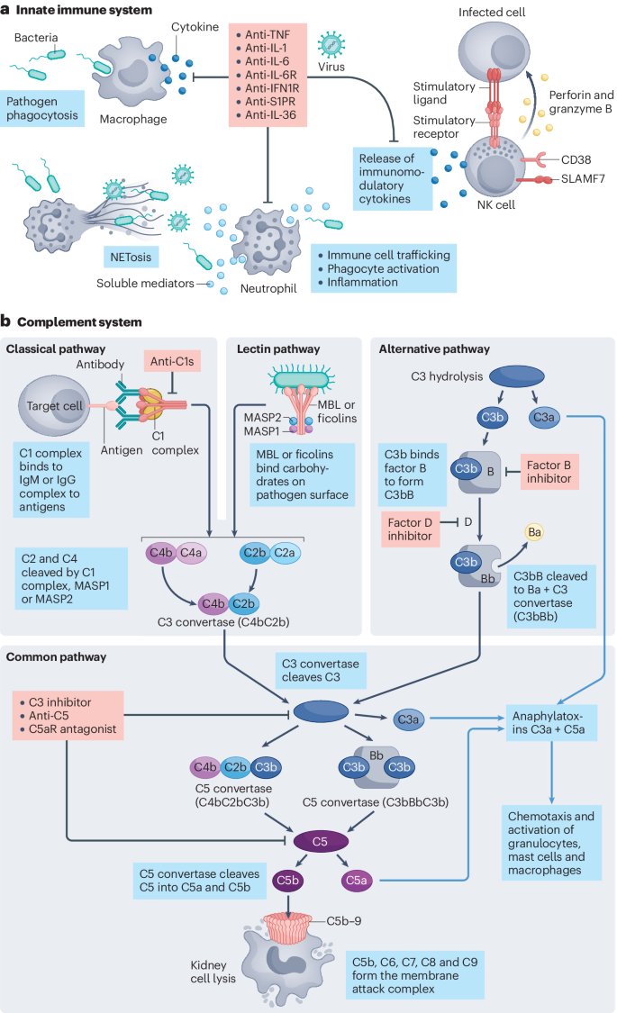 New online! Review on drug repurposing for glomerular diseases

go.nature.com/4dMdVD7