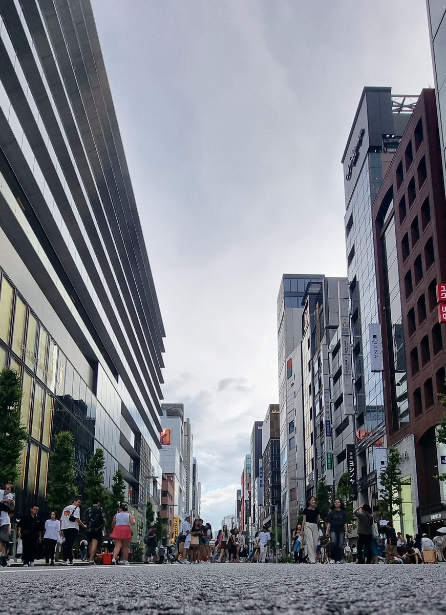 سعد بن برد... tweet media