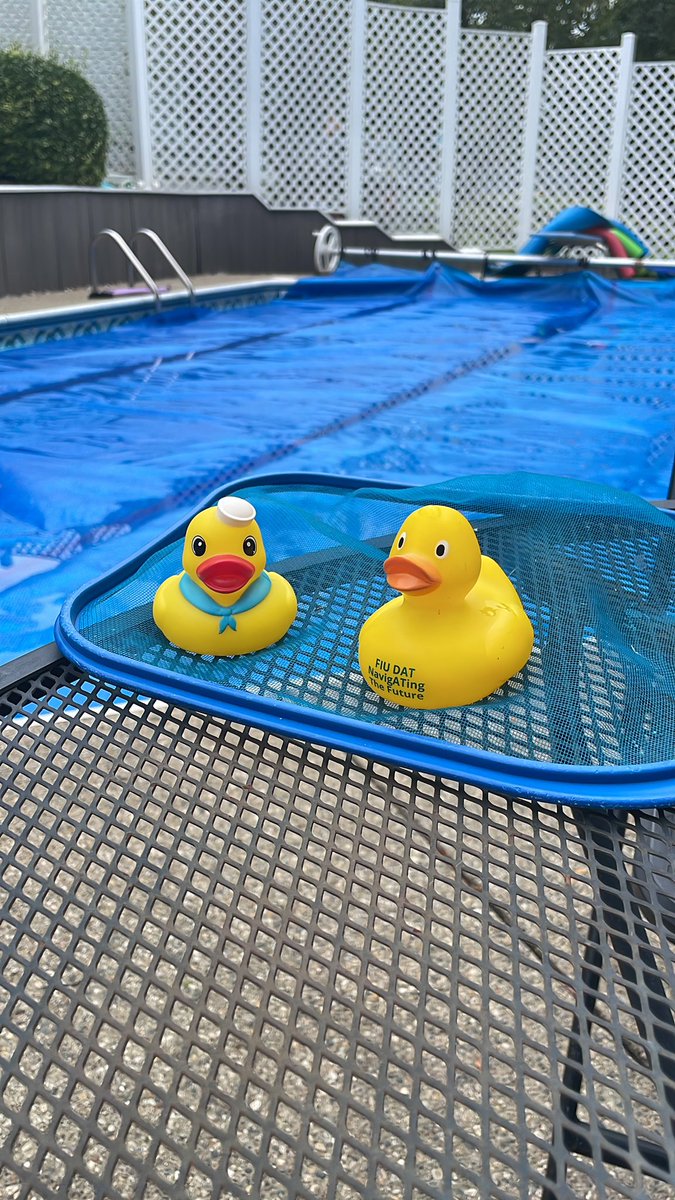 I was right! Ducky and I stopped for lunch in Perrysburg, and a dip in the pool with a sailor duck! Thanks Matt Kutz! <a href="/FIU_AT/">FIU Athletic Training</a>